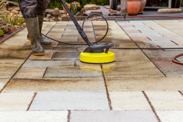 Best Driveway Pressure Washing  in Agler Beach, FL